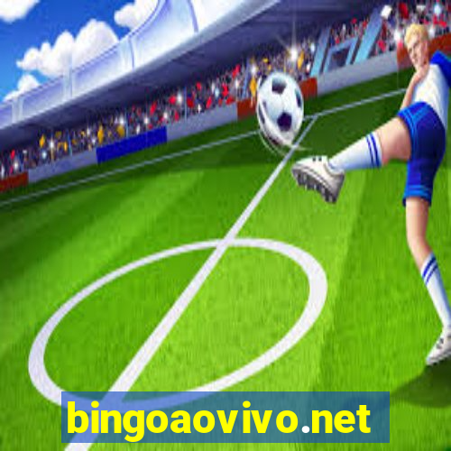 bingoaovivo.net