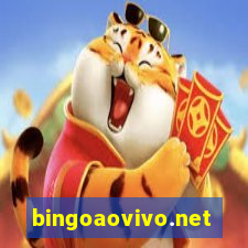 bingoaovivo.net