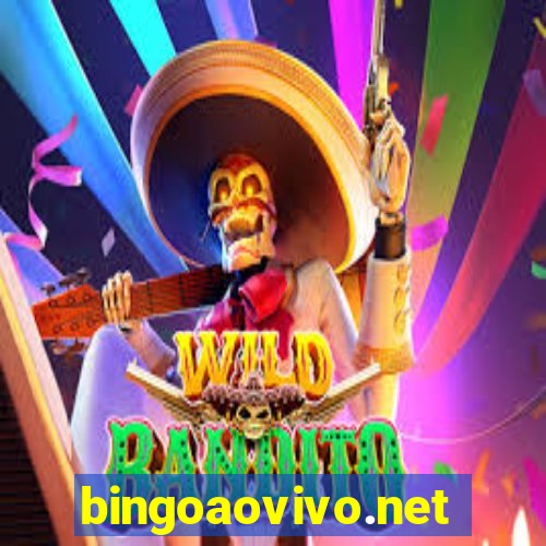 bingoaovivo.net