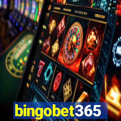 bingobet365