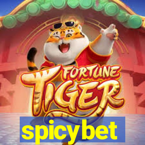 spicybet-3.com